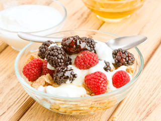 breakfast cereal bowl with berries and yogurt