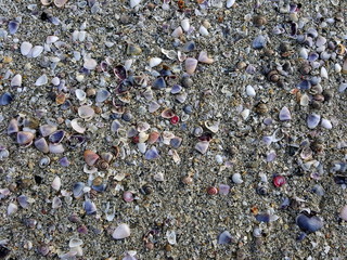 Sea sand texture on the beach.