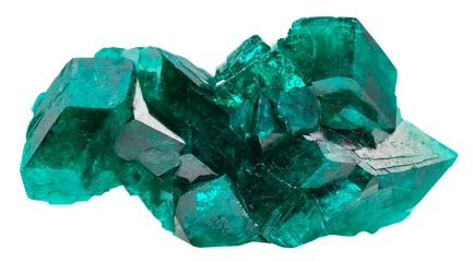 Foto op Canvas druse of emerald-green crystals of dioptase © vvoe