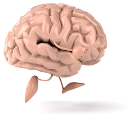 Fun brain