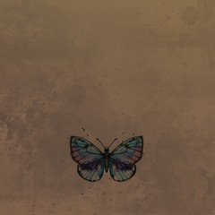 butterfly in watercolor at vintage background
