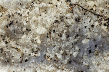 Melting snow in the spring