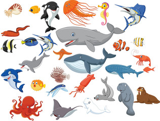 Fototapeta premium Cartoon sea animals isolated on white background 
