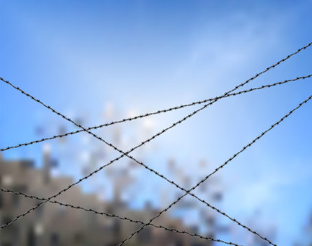 Barbed wire against the blue sky. Protection or security concept design. The space bounded by barbed wire. The lack of freedom behind barbed wire