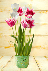 image of beautiful flowers close-up