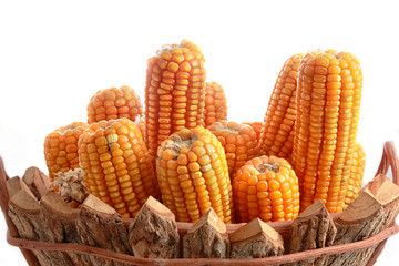 group of dried corns on cobs in the wooden basket