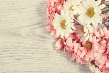 Margaritas blancas y rosas sobre fondo de madera rústico. Vista superior. Copy space