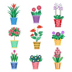 Set of houseplant, home interior flowers and office plants in pot. Tulip and viola, gerbera and orchids. 
Summer spring collection. Flat flowers set. Houseplants vector illustration