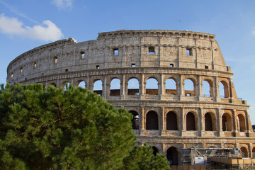 Fototapeta premium Colosseo in Rome
