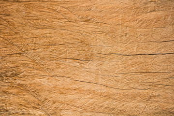 Wood texture or background