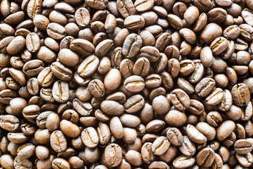 coffee beans on the white ground