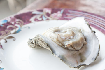 fresh raw oyster.
