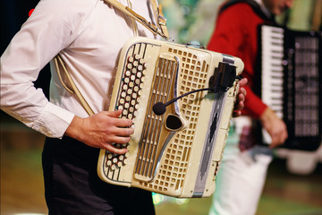 The musician playing the accordion - obrazy, fototapety, plakaty