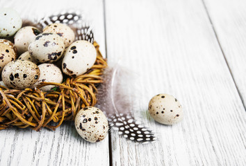 quail eggs in nest