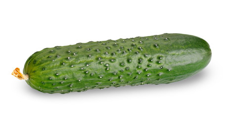 cucumber isolated on a white background with clippin path