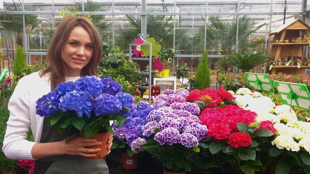 View of a Young attractive woman working at the plants nursery