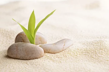 Fotobehang Stenen in het zand zen stenen en bamboe op het zand