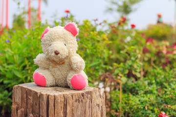Teddy bear on the timber.