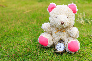 bear sit on the grass wear vintage pocket watch