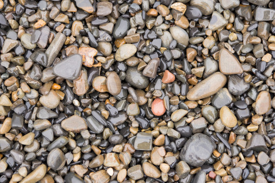 The surface texture of wet sea beach pebbles of medium and small size