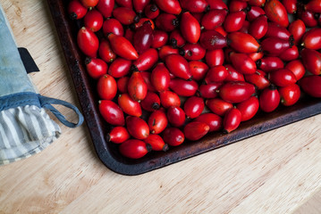Rosehip Berries on a Baking Tray © Alexandra King