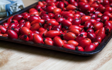 Rosehip Berries on a Baking Tray