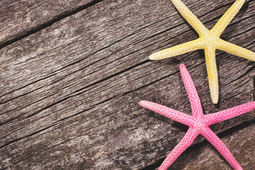 Fototapeta na wymiar Sea shells on wooden background. Starfish