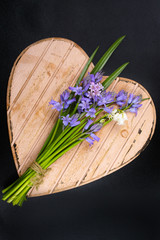 Bouquet with colorful wild hyacinths on wooden heart