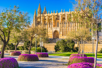 Spanien Mallorca Palma Kathedrale im Frühling © vulcanus