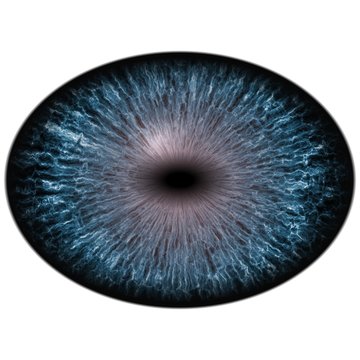 Isolated blue eye. Big eye with striped iris and dark elliptic pupil, dark retina.