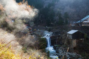 Jigokudani Snow Monkey Park, Kanbayashi Onsen, Japan

