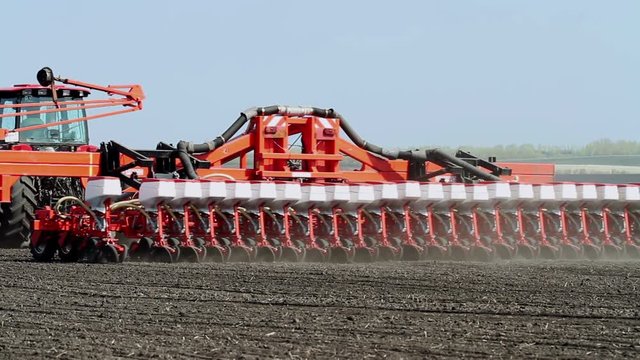 Sowing of sugar beet