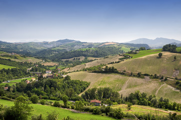 Fototapeta na wymiar Landscape in Romagna (Italy)