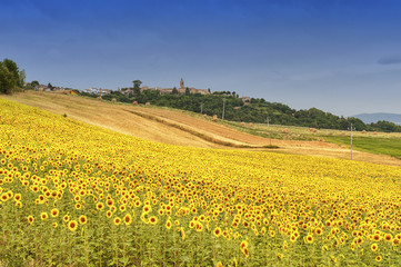 Country landscape in Marches (Italy)