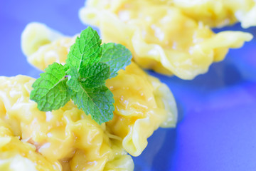  fresh dumpling on plate