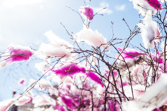 Pink feathers on twigs