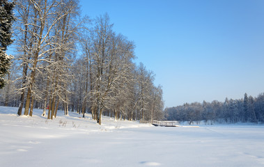 Winter scene