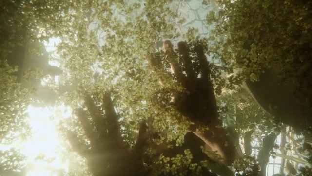 Person With Hands Covers Surface of Water Using Aquatic Seaweed Underwater Shooting