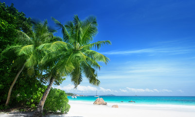 Obraz na płótnie Canvas Anse Lazio beach at Praslin island, Seychelles
