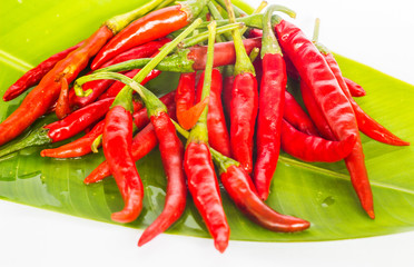 red chilli is very hot in thai food