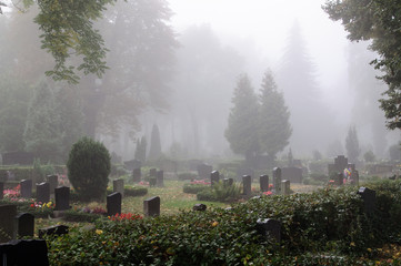 morning fog in a graveyard