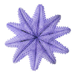 ten-point isolated blue starfish