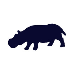 hippopotamus  silhouette 