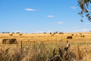 Tractor loading square hay bales in paddock behind barb wire fence. Liverpool Plains, New South Wales, Australia.