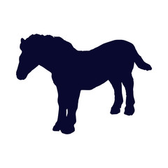 horse silhouette 