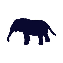 elephant silhouette 