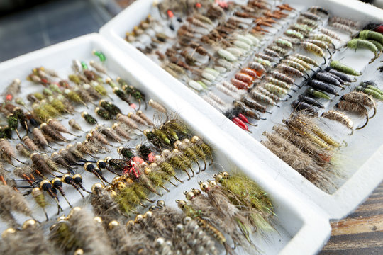 Fishing baits,  close-up