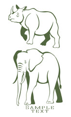 rhino and elephant