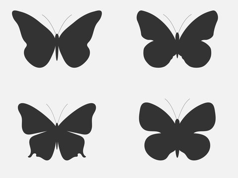 Set of butterflies. Butterflies silhouettes isolated on white background. Vector illustration.