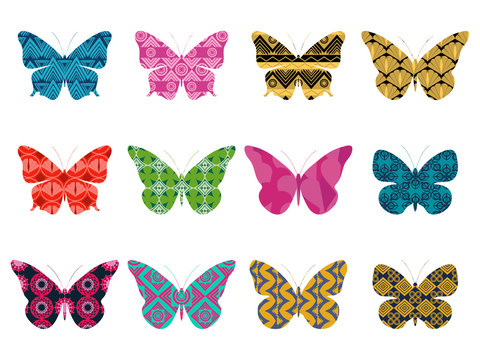 Butterflies with a pattern on a white background. Butterfly isolated. Vector illustration.